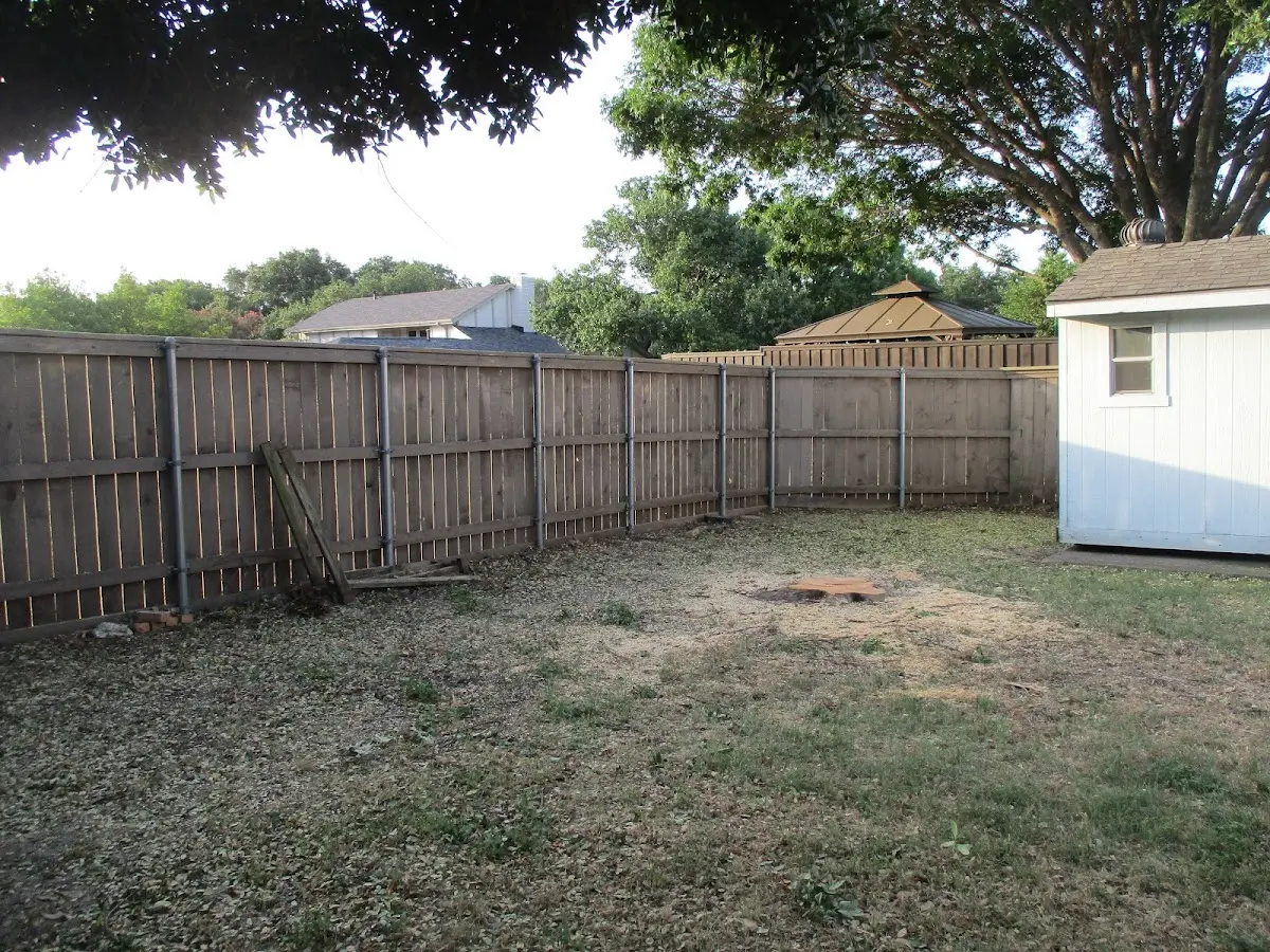 Cleared yard after professional tree removal in Ashford